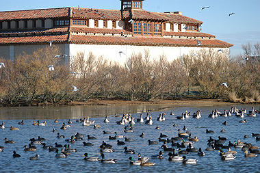 Aves en La Casa del Parque