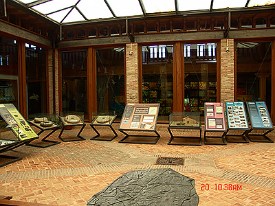 Patio de entrada de la Casa del Parque con útiles antiguos de explotación salinera