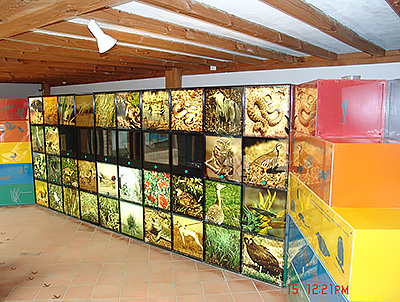 Sala de exposición con ejemplares naturalizados de la fauna de la reserva