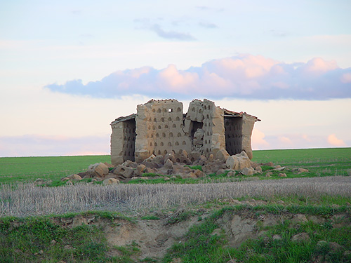 Palomar tradicional de la comarca de Villafáfila (1 de 12)