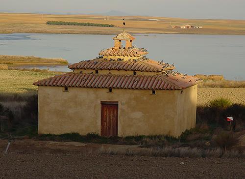 Palomar tradicional de la comarca de Villafáfila (4 de 12)