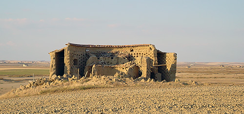 Palomar tradicional de la comarca de Villafáfila (13 de 12)