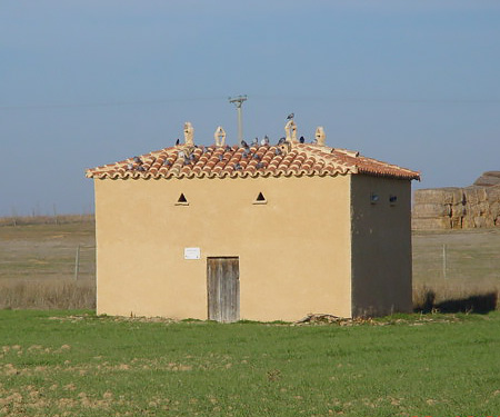 Palomar tradicional de la comarca de Villafáfila (12 de 12)