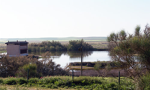 Vista general del Parque de Fauna