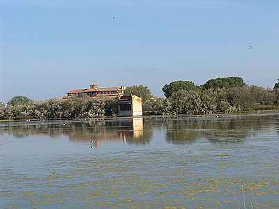 Lagunas del Parque de Fauna con aves acuáticas