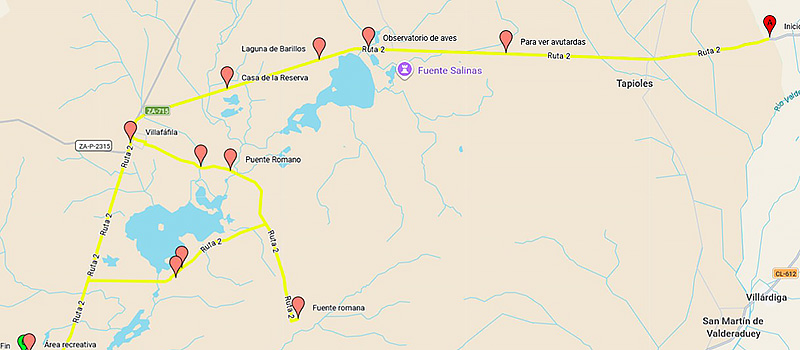 Ruta Salinas y Avutardas